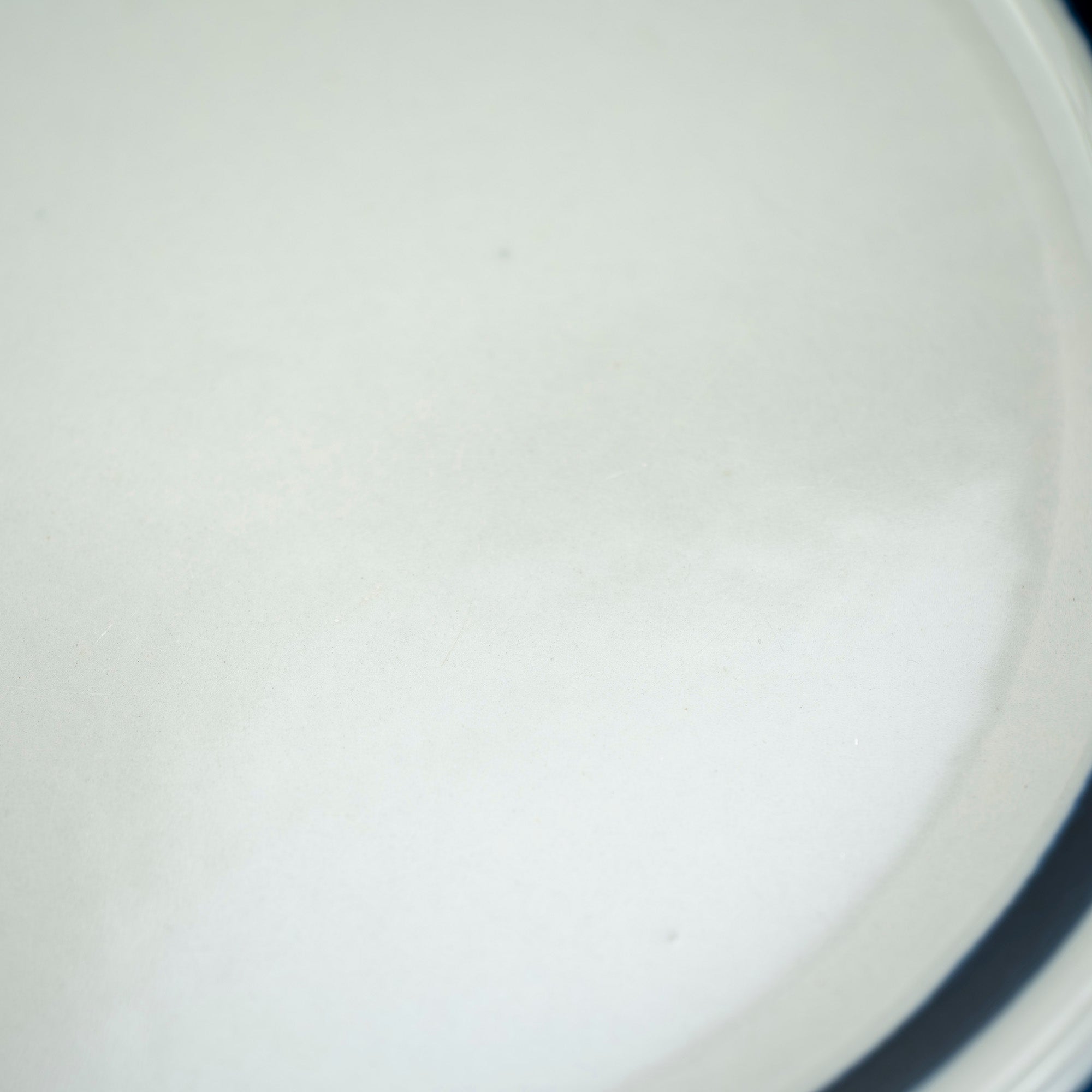 Arabia Anemone 20cm Plate by Ulla Procoppe, Nordic Vintage (4)