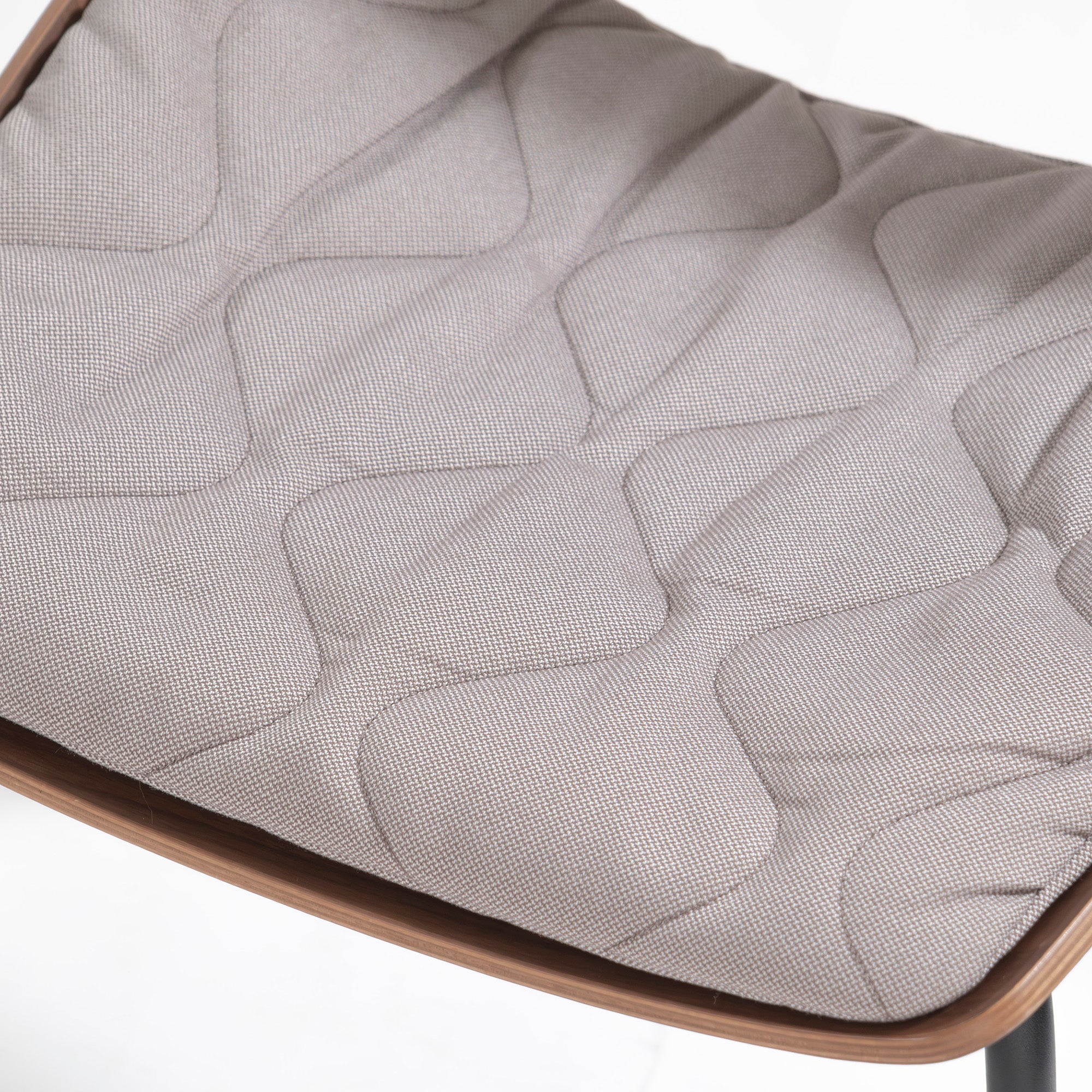Rolf Benz 650 Walnut Dining Chair (1) with Quilted Cushion, Wood Shell Chair, Made in Germany, Luxury, Modern, Natural