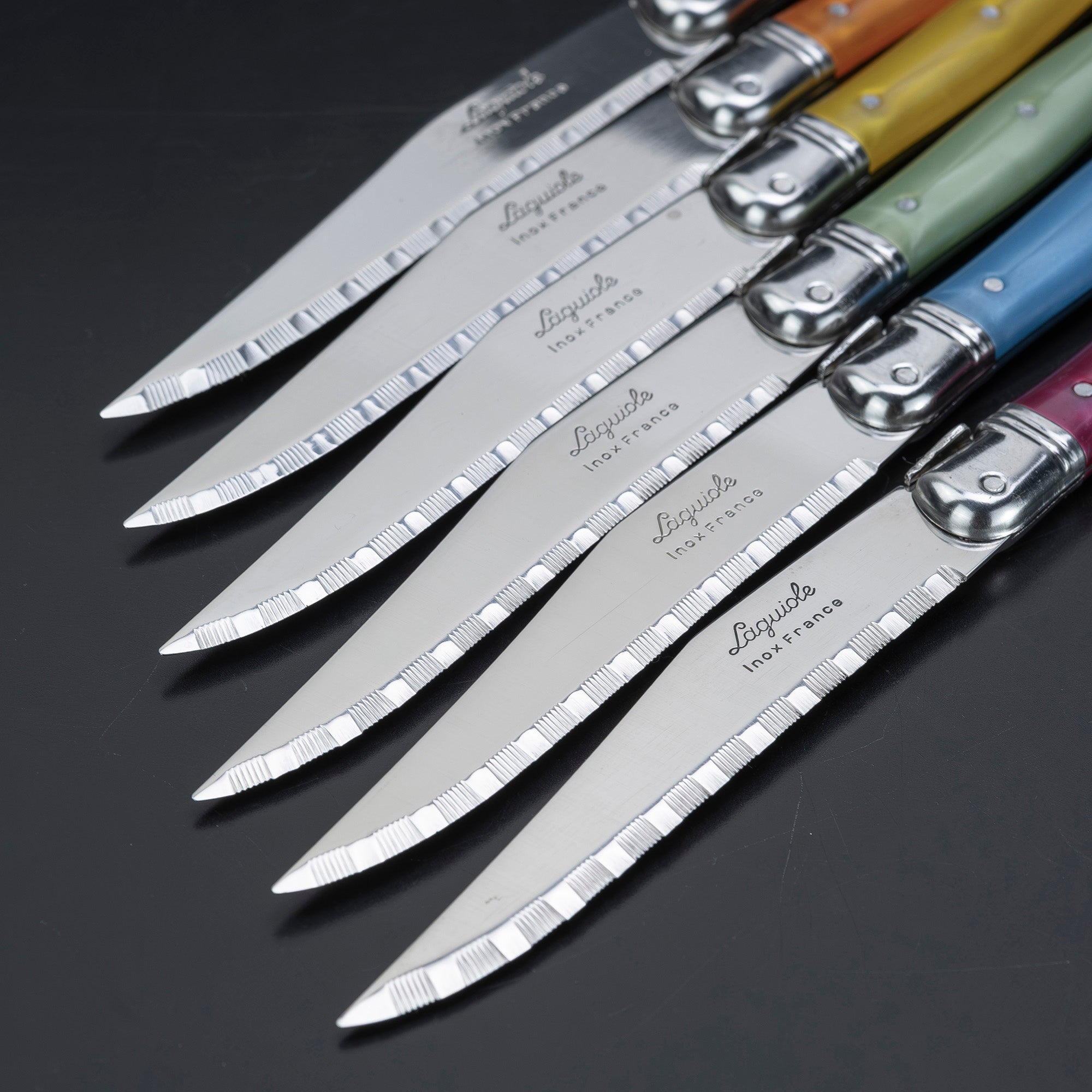 Laguiole Steak Knife Set of 6 with Colorful Handles and Bee Motif, Includes Case