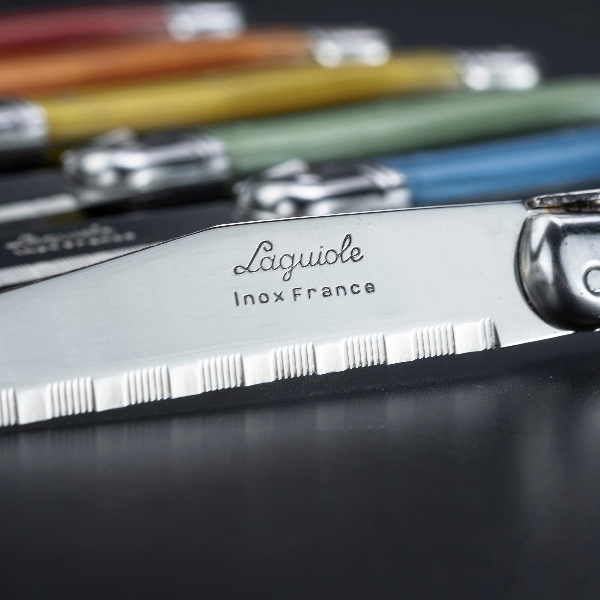 Laguiole Steak Knife Set of 6 with Colorful Handles and Bee Motif, Includes Case